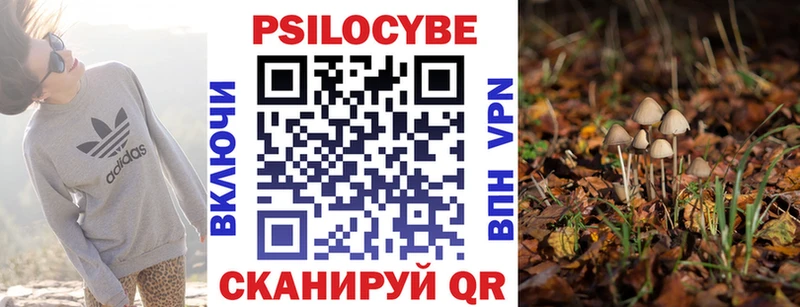 купить наркотики цена  Мензелинск  Псилоцибиновые грибы прущие грибы 